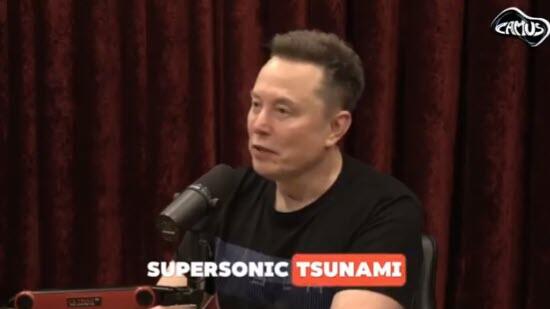musk_tsunami_1.jpg